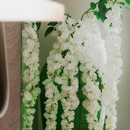 Appartement D ' Oro *