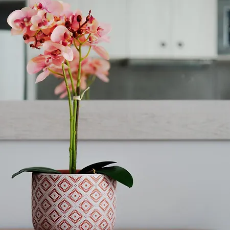 Апартаменты D ' Oro Лефкими