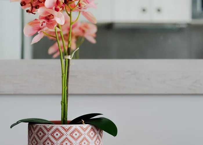 Lejlighed D ' Oro Lefkímmi